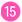 （15）